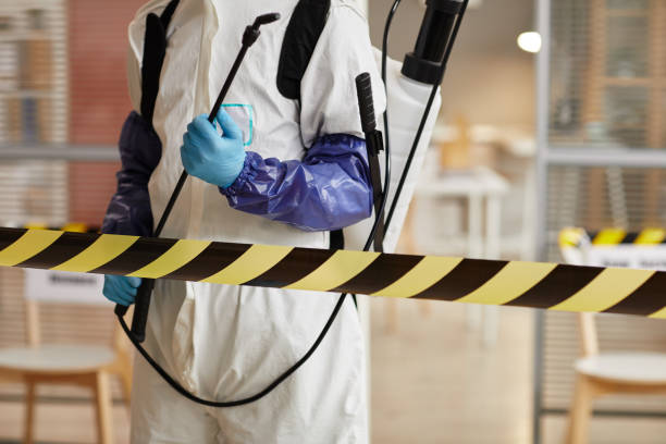 Professional Odor Removal technician working in Cutler, CA