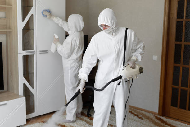 24/7 Emergency Odor Removal experts in Cutler, CA